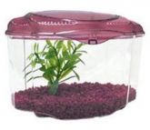 Beteira Decorada Marina 1,8l